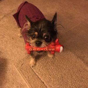 Meet your Posher, Nancy